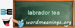 WordMeaning blackboard for labrador tea